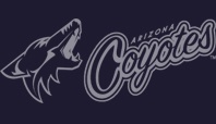 Arizona Coyotes