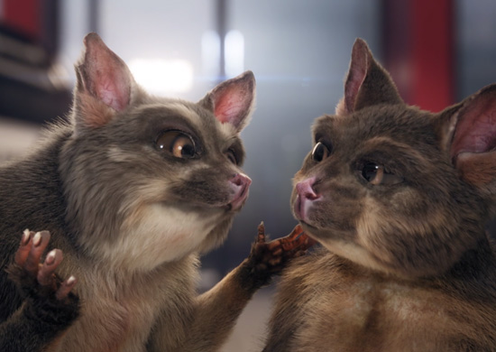 Toyota NZ Road Experts